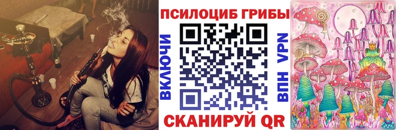 omg зеркало  Ивангород  Псилоцибиновые грибы мухоморы 